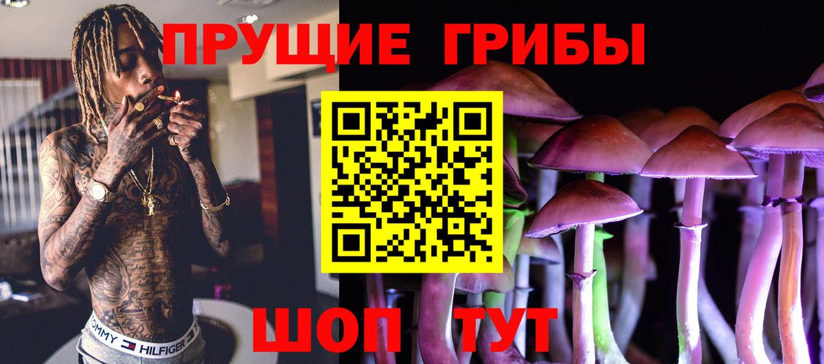 Псилоцибиновые грибы мицелий Вязьма